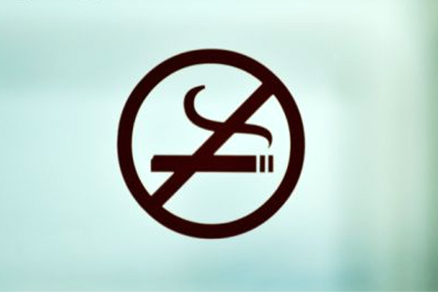 Госдуме предложили запретить водителям курить за рулём