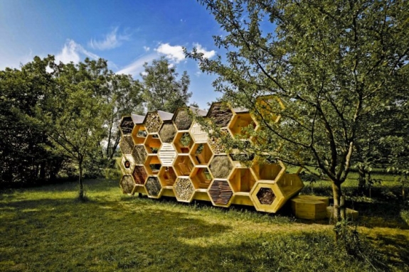 В Кемеровской области построят Стену защиты пчёл для Книги Рекордов Гиннеса