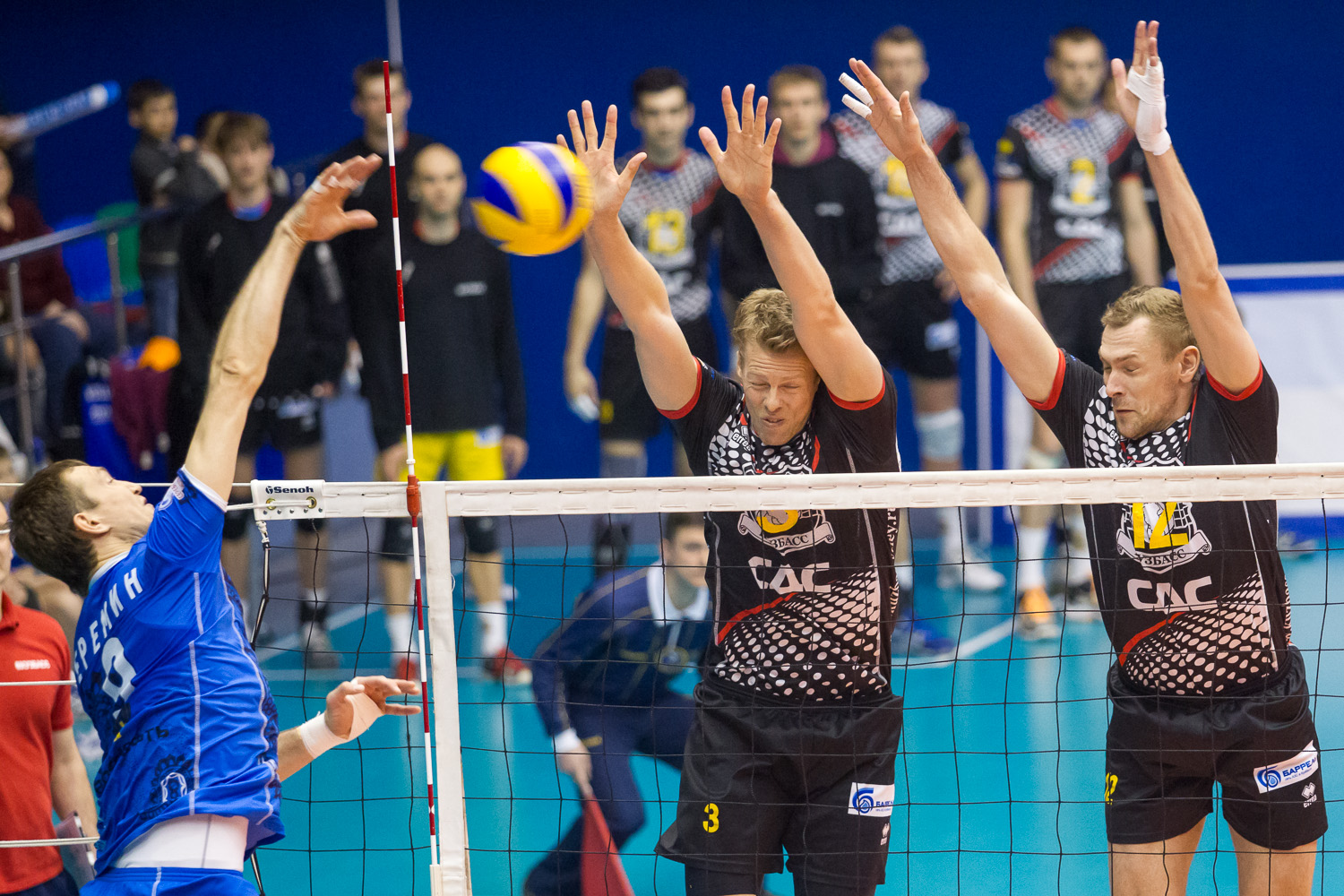 Волейбольный «Кузбасс» победил третий раз подряд в чемпионате Суперлиги