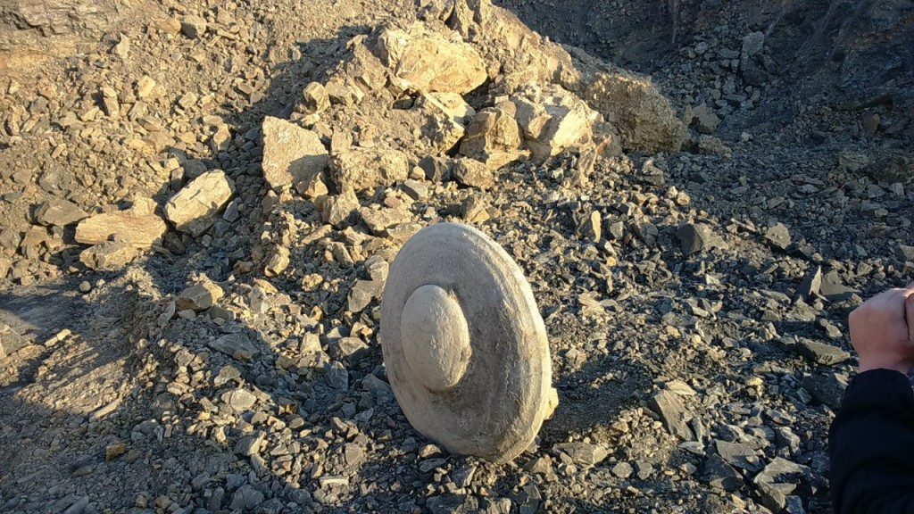 На месте обнаружения «каменного диска предков» будут искать древний город