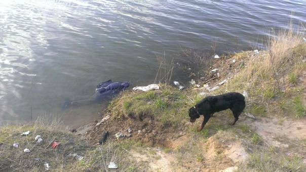 Следователи установили личность погибшего, найденного в Красном озере в Кемерове