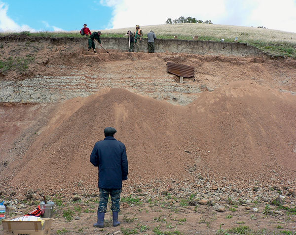Кемеровчанам покажут место, где были найдены пситтакозавры сибирские.jpg
