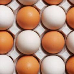 К Пасхе для кемеровчан бесплатно сварили 150 яиц