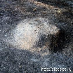 ������������: ����� ����������� � ��������