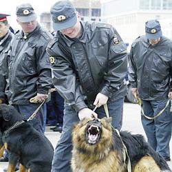 В День города на улицы Кемерова выйдут 1000 милиционеров