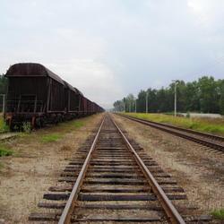 Житель Кузбасса лишился руки на железной дороге