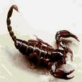 ��������� � ������� �� �������� � ������������
