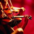 � �������� ������� ������ ��������� �Crescendo�