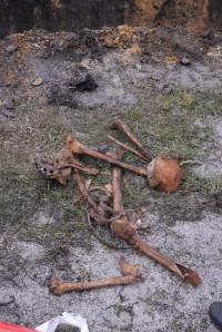 Беловские коммунальщики обнаружили старинное захоронение