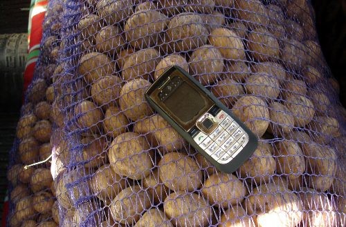 В киселевске грабители похитили мобильный и картофель