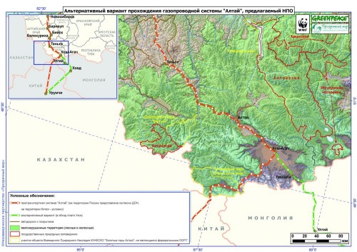 Алтайский ирбис нарушил планы «Газпрома»