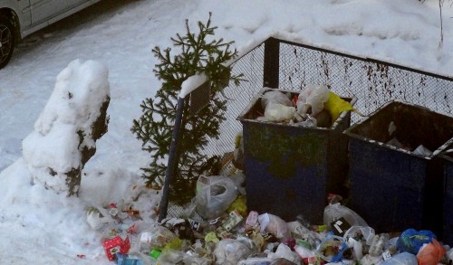 Кемеровчане начали выбрасывать новогодние ёлки