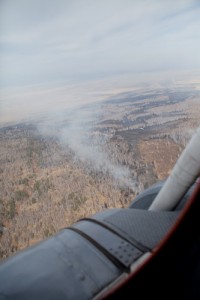 Огнеборцы потушили первые лесные пожары в Кузбассе