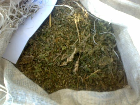 В Кузбассе у бомжа изъяли 3 кг марихуаны