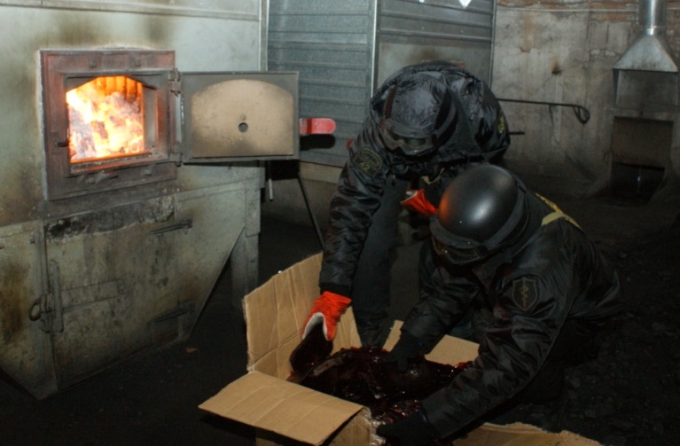 В Кузбассе сожгли крупнейшую партию изъятых наркотиков 