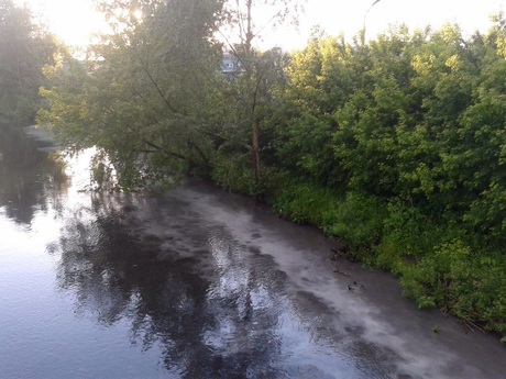 В водах реки Аба заметили странное белое пятно