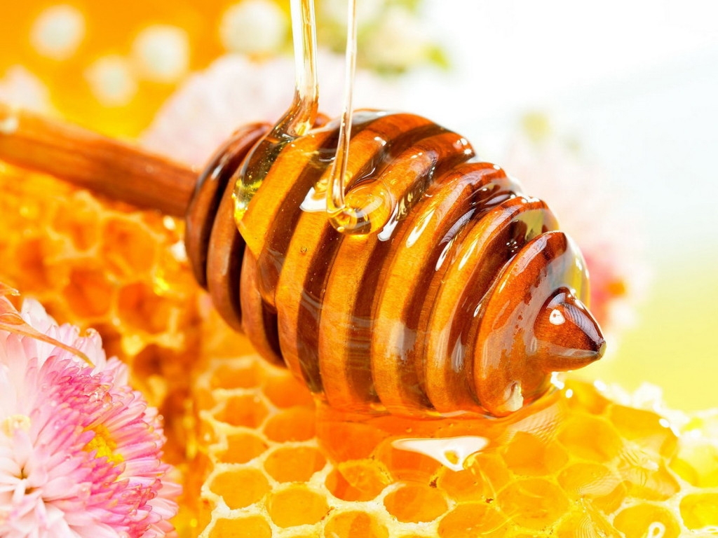 Пчеловоды Алтая запантентовали бренд «Алтайский мёд»
