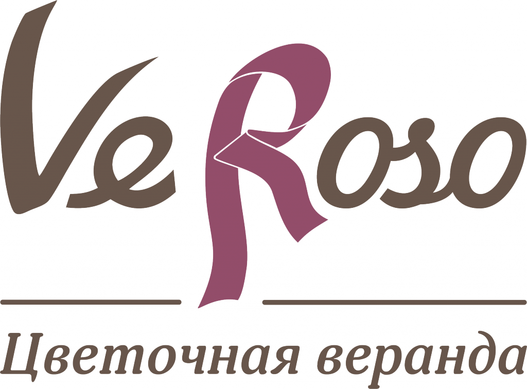Логотип_Веросо.png