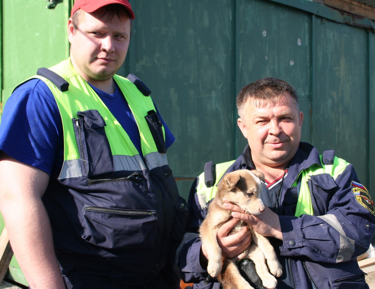 Кемеровские спасатели вызволили щенка из метровой ямы