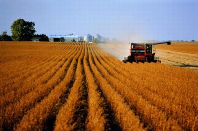 Кузбасс будет получать дополнительные средства на производство сельскохозяйственной продукции
