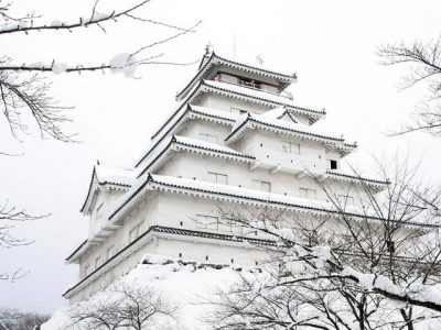 В Японии из-за сильного снегопада погибли семь человек