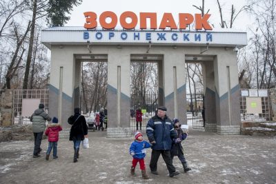 В зоопарке Воронежа усыпят всех птиц из-за эпидемии птичьего гриппа