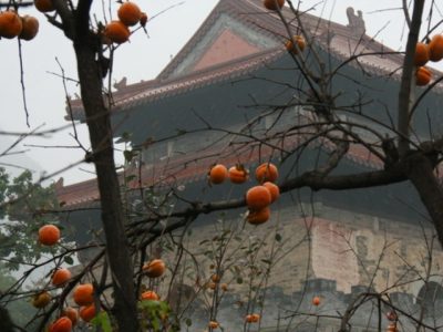 В Китае нашли 350-летнюю гробницу династии Мин
