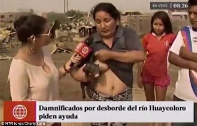 Перуанка в прямом эфире американского телеканала покормила грудью поросёнка