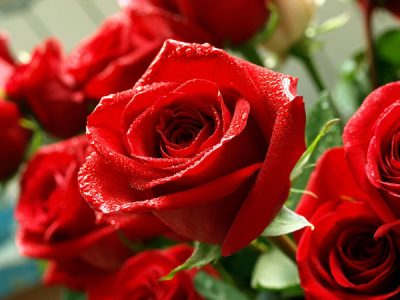 Кемеровчане атаковали цветочные магазины предзаказами ко Дню святого Валентина