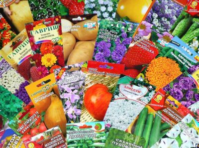 Россельхознадзор выявил карантинный сорняк в пакетированных семенах в Кузбассе