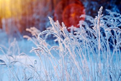 Специалисты Кемеровского центра рассказали об аномалиях прошедшей зимы
