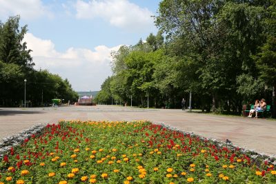 В ночь перед 9 мая в Кемерове высадят 2,5 тысячи цветов