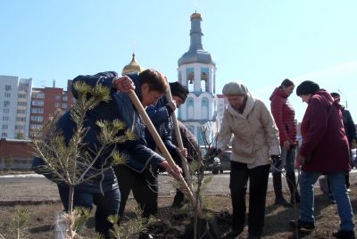 На территории 11 кузбасских храмов в честь Пасхи посадят деревья