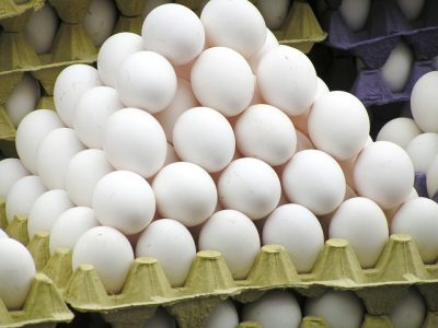 Учёные рассказали, где нужно хранить куриные яйца