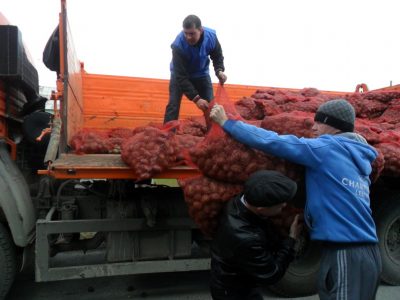 В Кузбассе многодетным семьям раздали почти полтонны картофеля