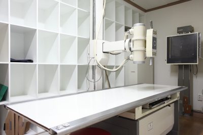 В кемеровской ветклинике приставы закрыли опасный рентген-кабинет