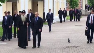 Владимир Путин поздоровался с голубем, видео опубликовали в Сети