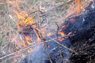 Тело кузбассовца обнаружили после тушения горящей травы на пустыре