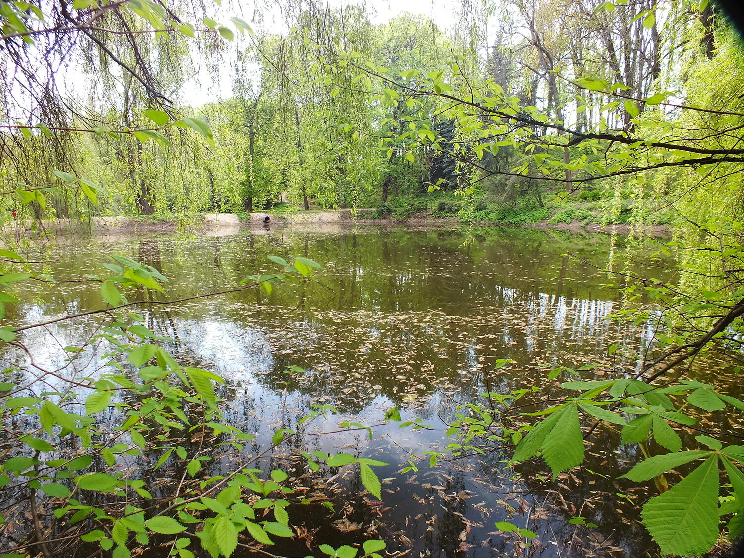 В Кузбассе нашли 20 водоёмов, где опасно купаться • 19.06.2017 • Новости •  Сибдепо