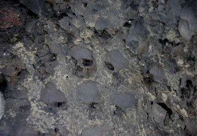 В Мексике археологи нашли сложенную из черепов ацтекскую башню