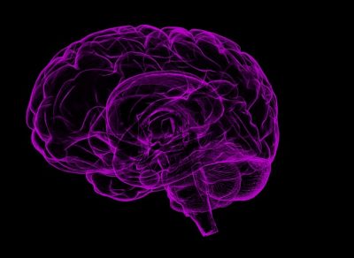 Учёные нашли способ улучшить работу человеческого мозга