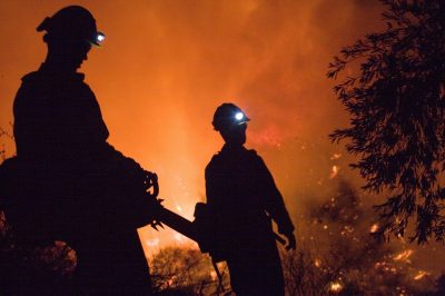 В Италии пожарные поджигали лес, чтобы получать премии