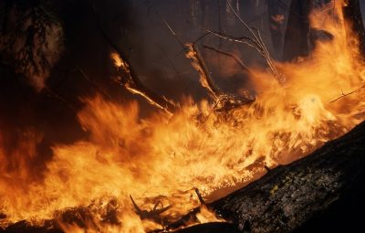 Синоптики предупредили кузбассовцев о высокой пожароопасности