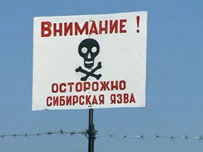 Под Новокузнецком будут очерчены границы санитарной зоны сибиреязвенного захоронения