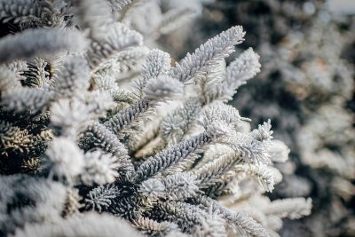 В новогодние праздники в Кузбассе синоптики прогнозируют похолодание до -43°С