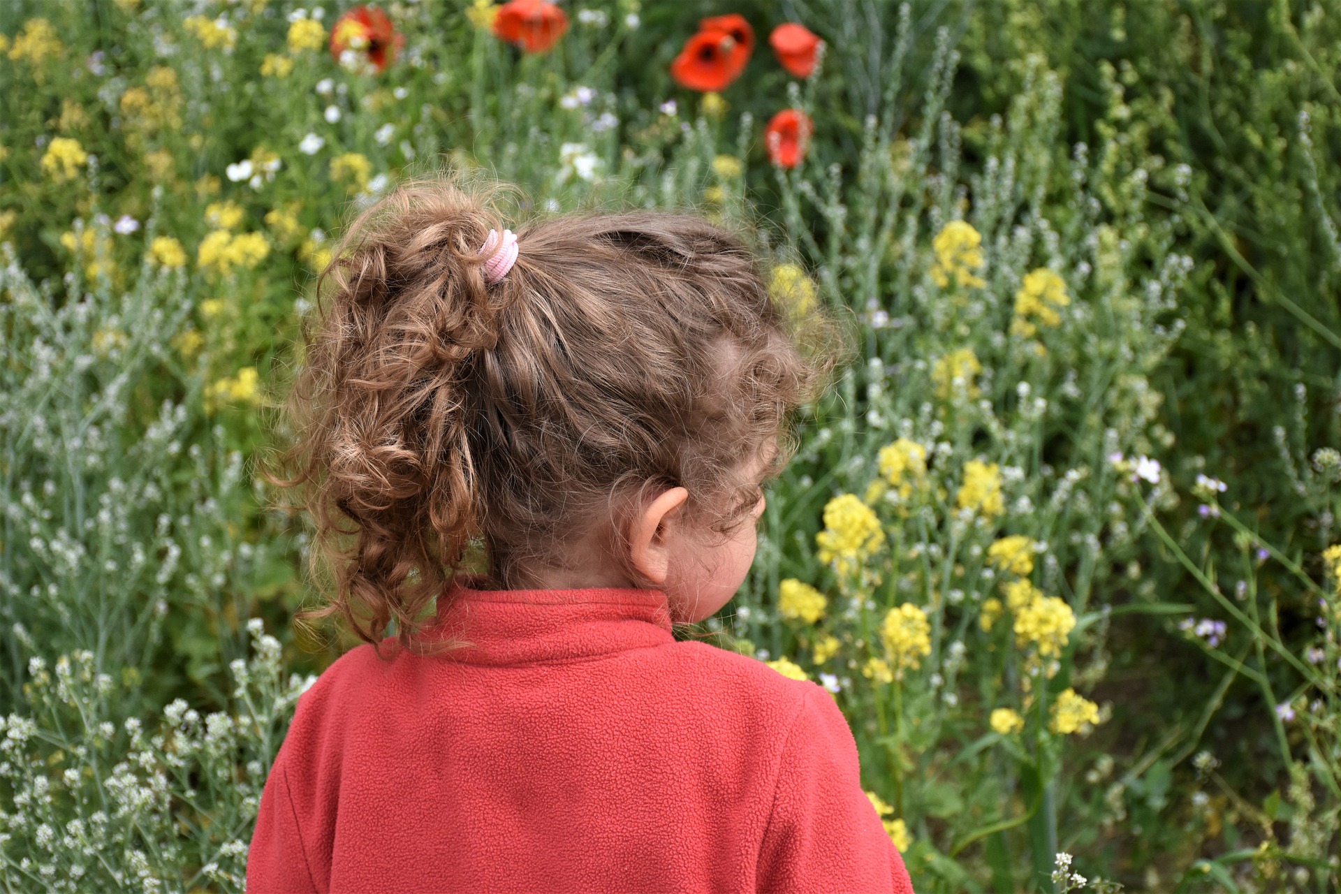 Воспитатель с детьми на природе. Молдавия цветок детский стыд.