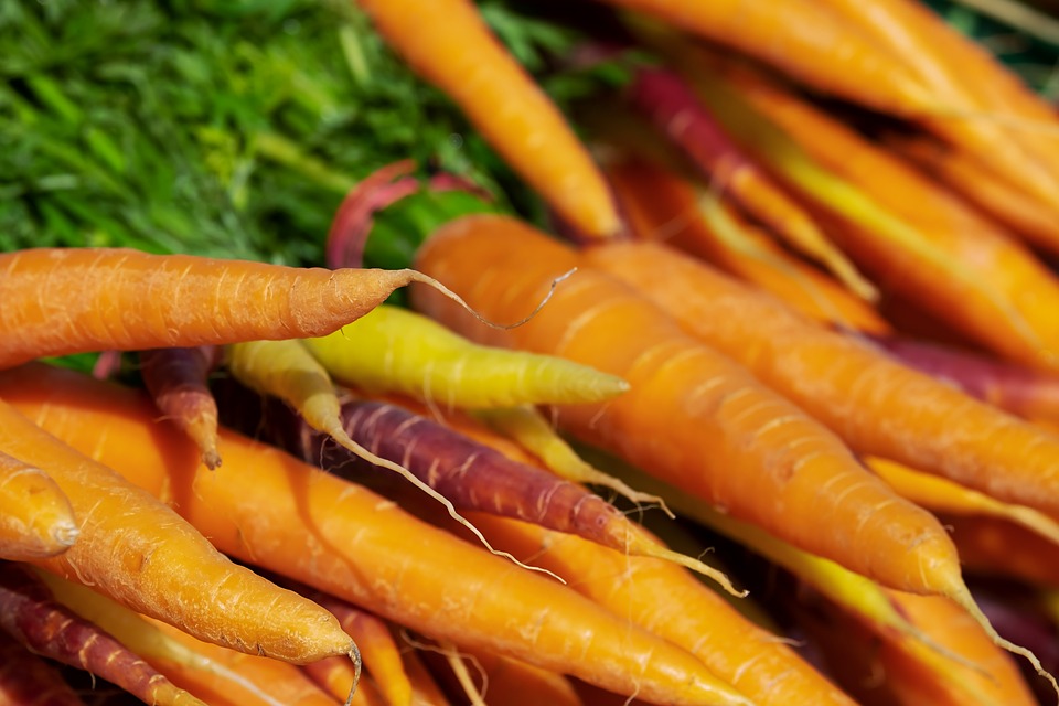 В Кузбассе нашли опасную иностранную морковку
