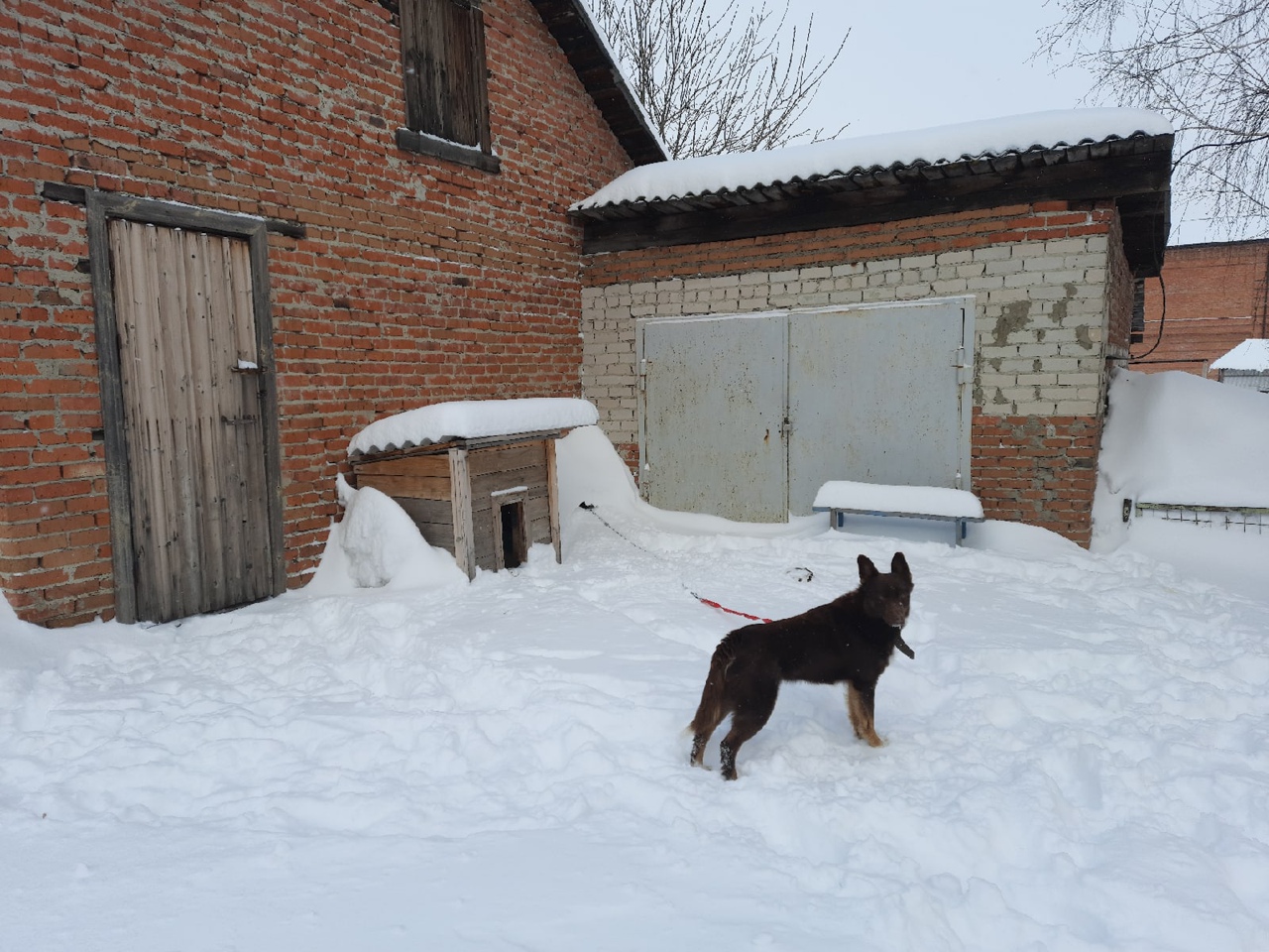 Видео: в Кемерове выпало 10 сантиметров снега за ночь