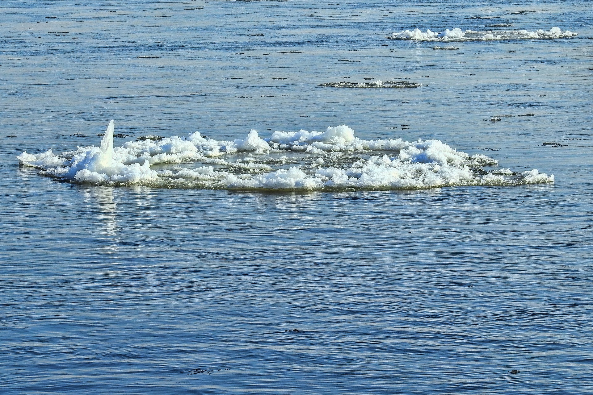 «Опасно! Не повторять!»: жительница Кемерова в купальнике устроила экстремальную фотосессию на плывущей льдине