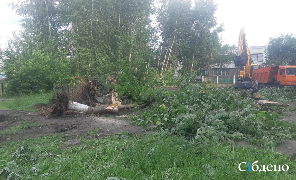 В Кемерове ради парковки повально вырубают деревья • 22.06.2021 • Новости •  Сибдепо